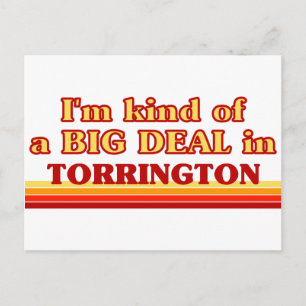 I am kind of a BIG DEAL in Torrington Postcard