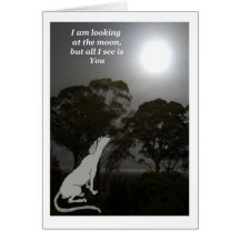 I am looking at the moon