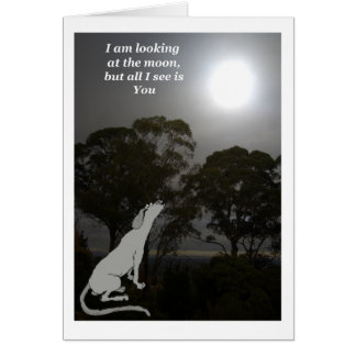 I am looking at the moon