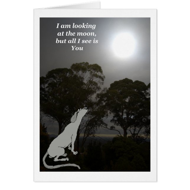 I am looking at the moon (Front)