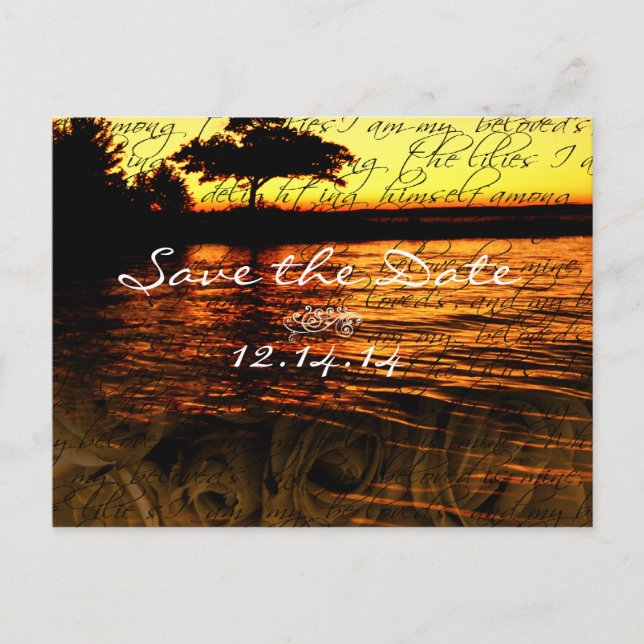 I Am My Beloved's and My Beloved is Mine Announcement Postcard (Front)