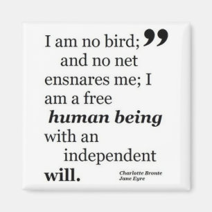 I Am No Bird Magnet