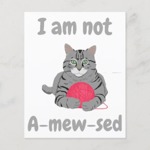 I am not amewsed. Funny cat chonk tee