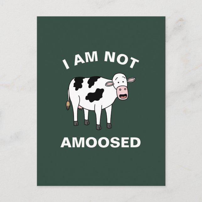 I Am Not Amoosed Funny Farming Animal Cow Pun Postcard (Front)