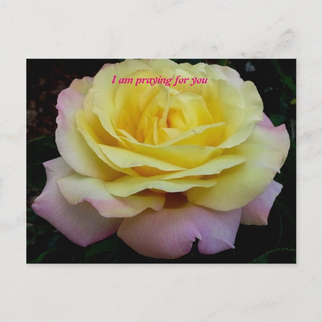 I am praying for you postcard (Front)