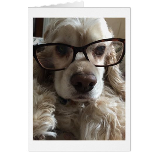 **I AM SO IN LOVE WITH YOU** GREETING CARD