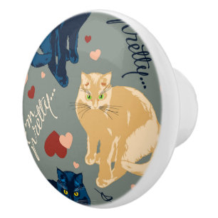 I am so pretty cat! ceramic knob