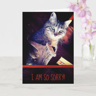 I Am So Sorry Tabby Kitten Belated Birthday Card