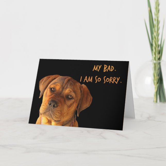 I am Sorry Apology Cute Puppy My Bad Card (Front)