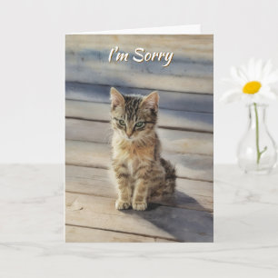 I Am Sorry Cute Kitten Cat Card