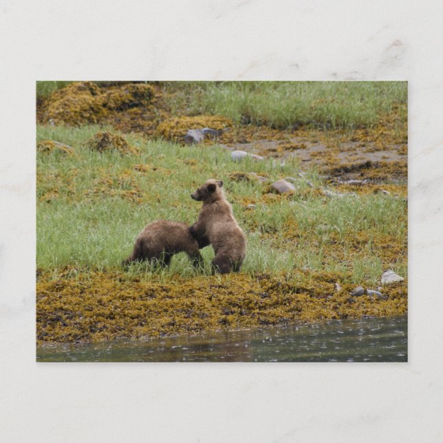 I am the Boss Postcard (Front)