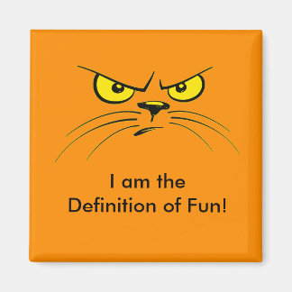 I am the Definition of Fun! / Cat Magnet