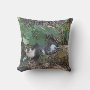 I am the invisible cat cushion