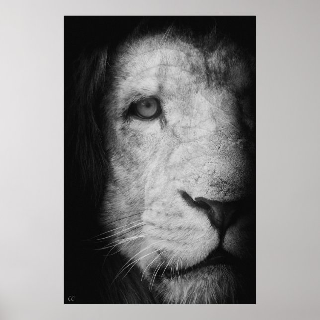 I am the king! poster (Front)