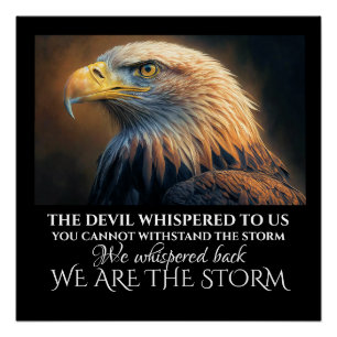 I AM THE STORM POSTER