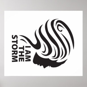 I am the Storm Poster