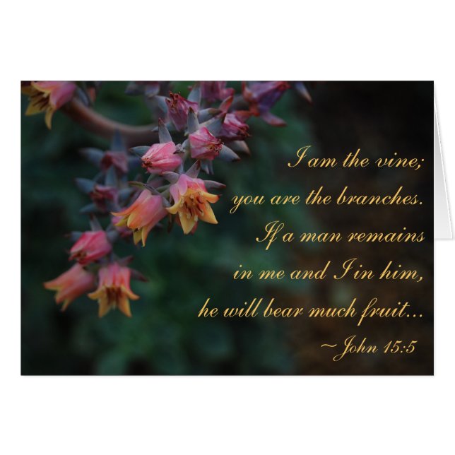 I am the vine... John 15:5 (Front Horizontal)