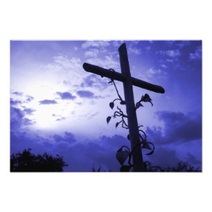 I am the vine you are the branches cross of Jesus Photo Print