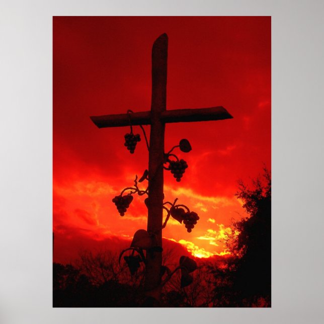 I am the vine, you are the branches cross poster (Front)