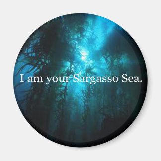 I Am Your Sargasso Sea Magnet