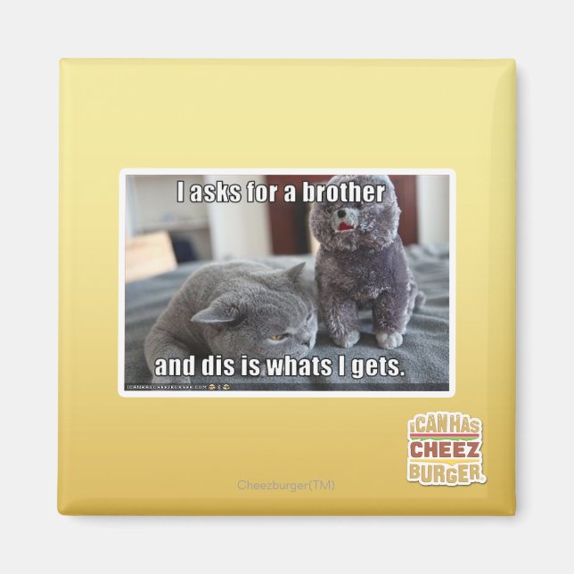 I asks for a brother magnet (Front)