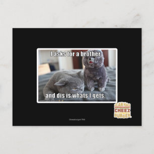 I asks for a brother postcard