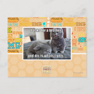 I asks for a brother postcard