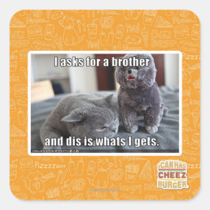 I asks for a brother square sticker