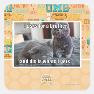 I asks for a brother square sticker