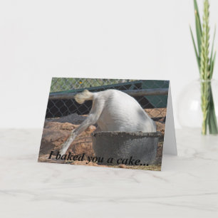 I baked you a cake... Birthday Card