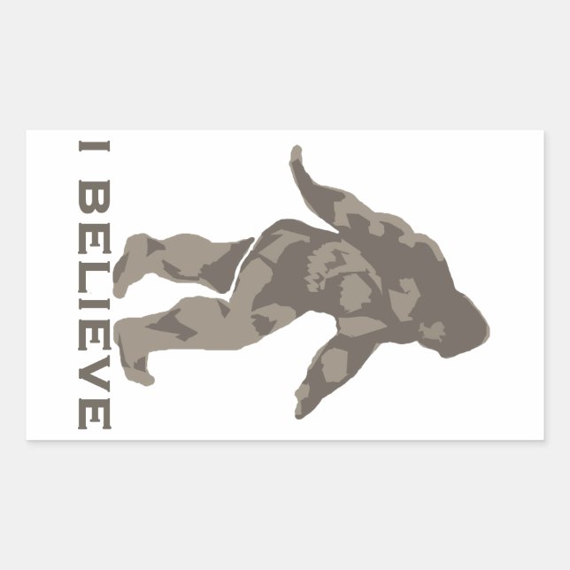 I believe 2 rectangular sticker (Front)