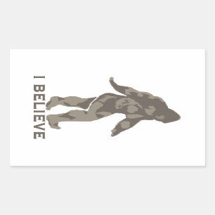 I believe 2 rectangular sticker