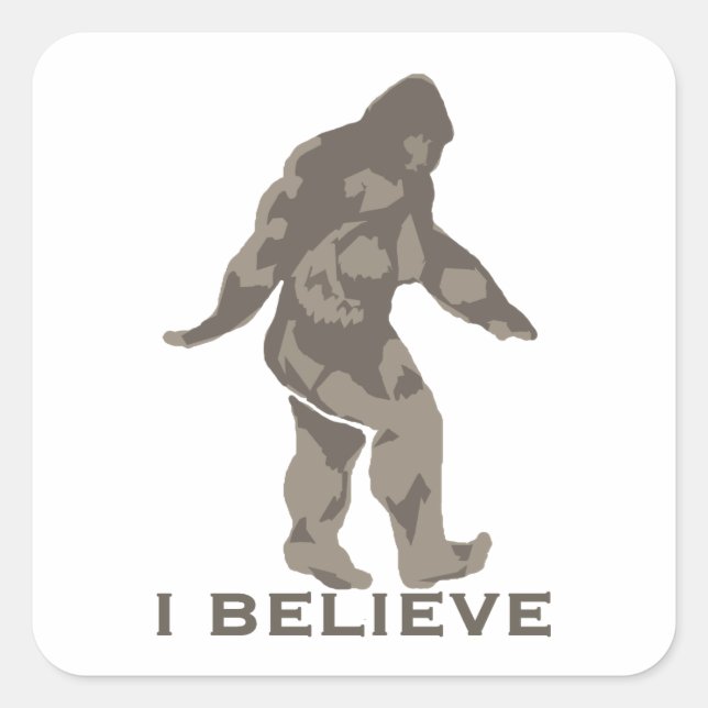 I believe 2 square sticker (Front)