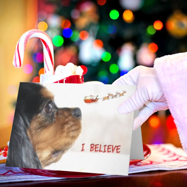 I Believe In Christmas With Cavalier King Charles Holiday Card (Creator Uploaded)