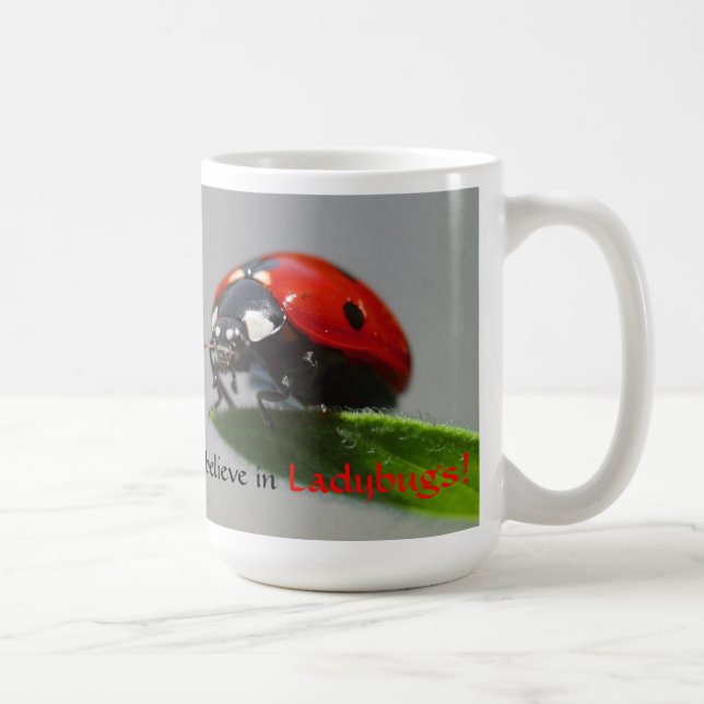 I Believe in Ladybugs Mug (Right)