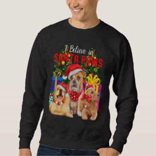 I Believe In Santa Paws Cute Dogs Wearing Xmas H Sweatshirt