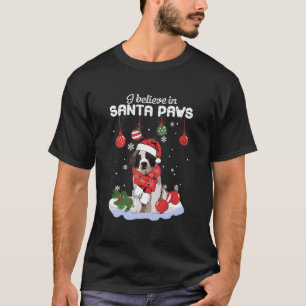 I Believe In Santa Paws Saint Bernard Gift T-Shirt