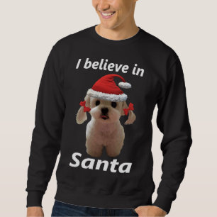I Believe In Santa Shih Tzu Dog Sweatshirt