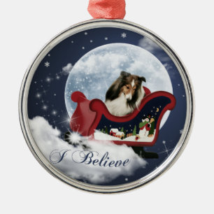 I Believe Ornament
