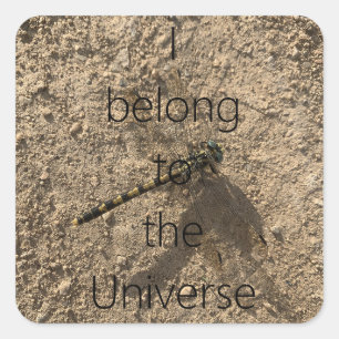 I belong to the Universe - Sticker