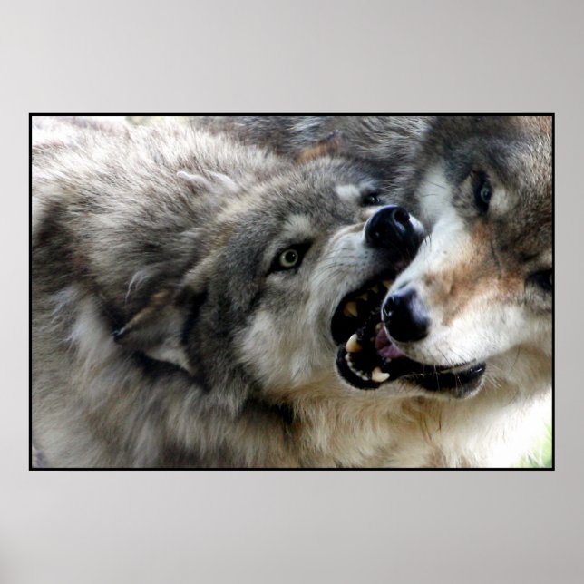 I BITE POSTER (Front)