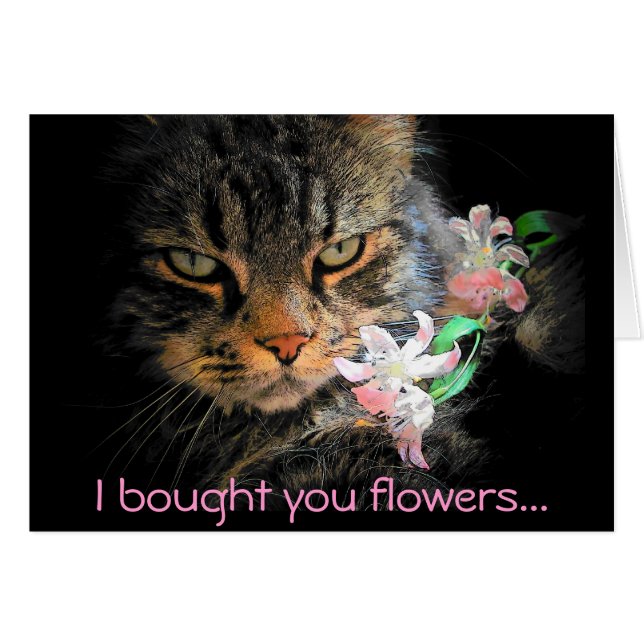 I Bought You Flowers then Ate Them (Front Horizontal)