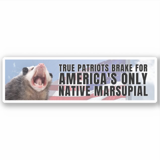 I brake for America's only native marsupial Possum (Front)