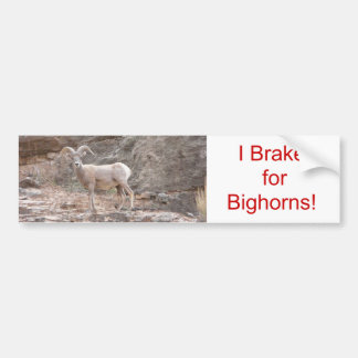 I Brake for Bighorns! Bumper Sticker