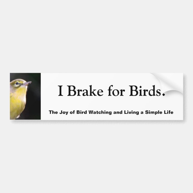 I Brake for Birds! Bumper Sticker (Front)