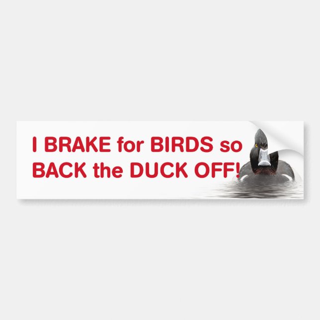 I brake for birds so back the duck off bumper sticker (Front)