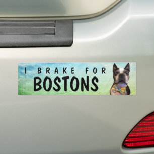 I Brake For Bostons bumper sticker