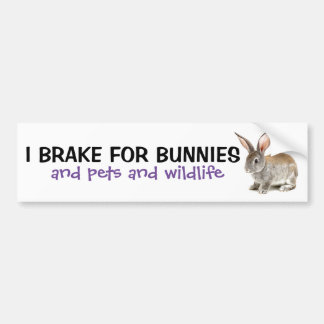 I Brake For Bunnies Bumper Sticker