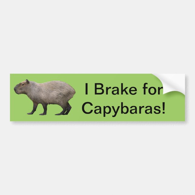 I Brake For Capybara Bumper Sticker (Front)