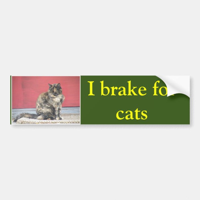 I brake for cats bumper sticker (Front)